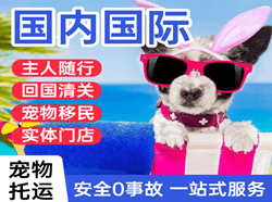 黑河瑷珲航空空运国际宠物托运 【国